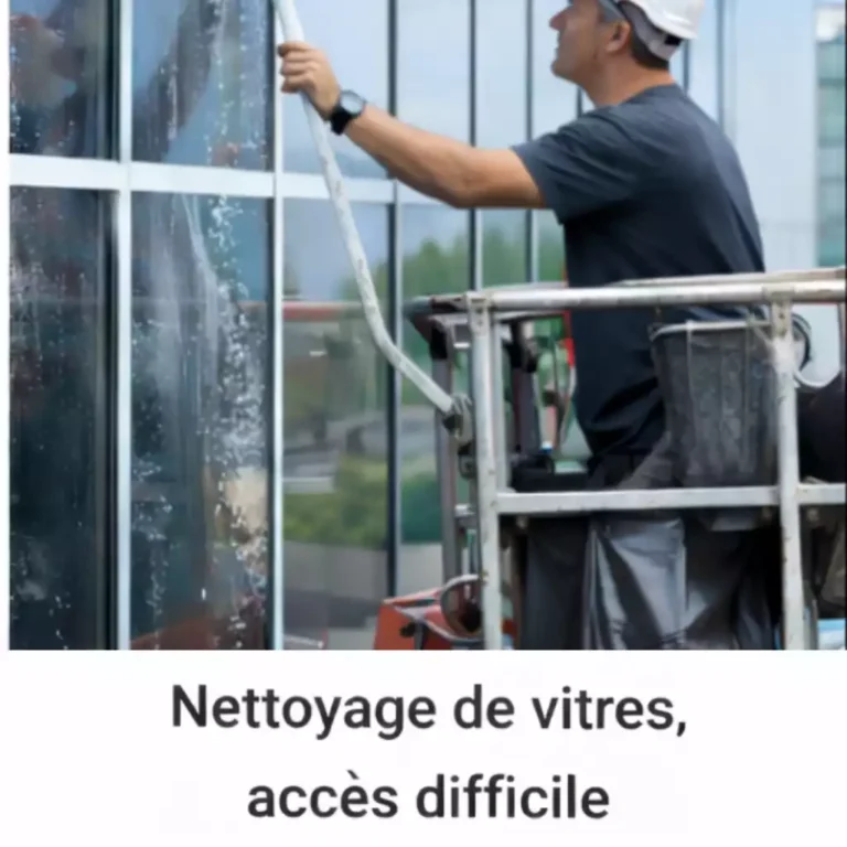 nettoyage vitres accès difficile